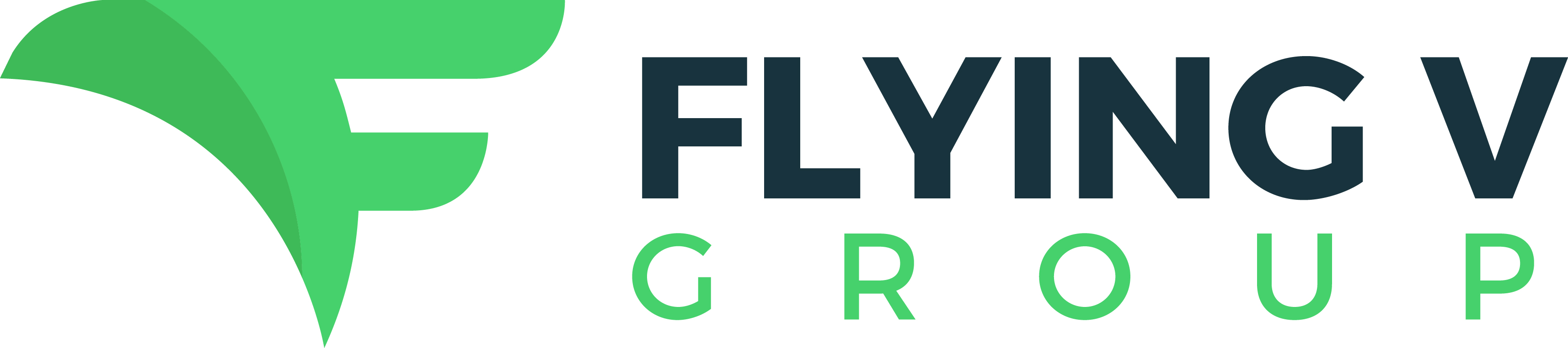 Flying V Group, Inc.